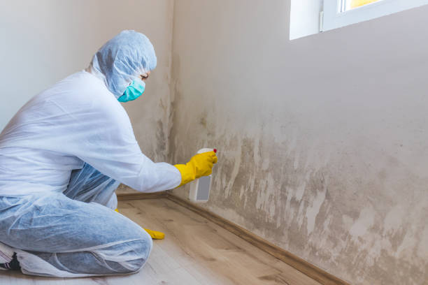 Licensed Mold Remediation service in Warrenton, VA - WQB Mold Removal