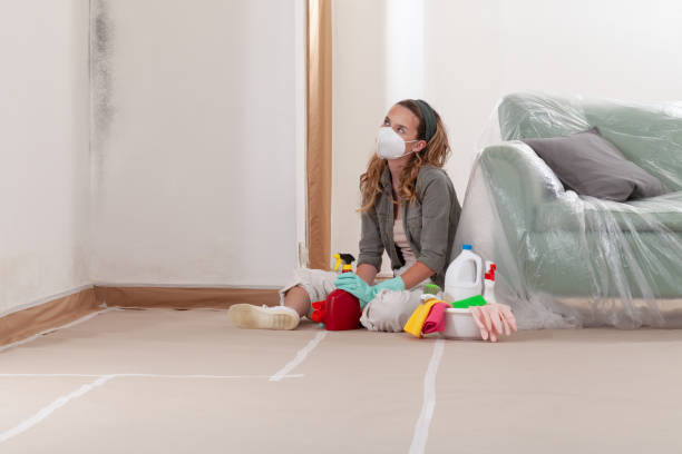 Reliable Mold Remediation contractor in Warrenton, VA by WQB Mold Removal